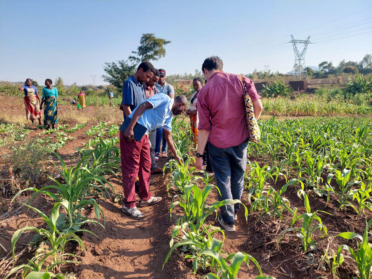GusherLabs Engages with Farmers through Mnzeru Project